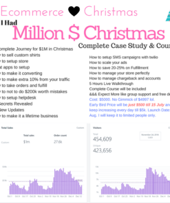 Neeraj Mahajan – Million $ Christmas Course