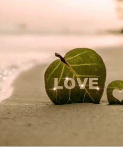 Online Dating Unlocked – How to Get Girls to Message You Back