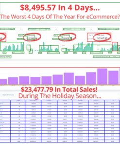 Ricky Mataka – 5 Day Live Fb Ads Bootcamp