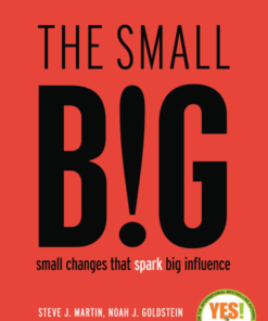 The Small BIG – Small Changes that Spark Big Influence