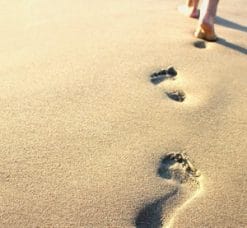 Travis Pettelle – The Mother of All E-Commerce Walkthroughs