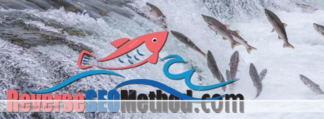 reverseSEOmethodbanner