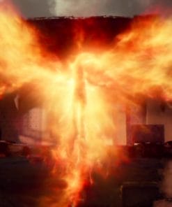 Rekt Capital - Alt Coin Investing Course