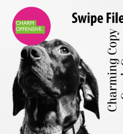 Charm Offensive – Charming Copy Crash Course