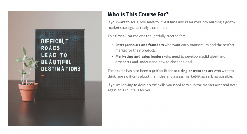 Mastering Go to Market By Isabelle & Scott - who is this course for