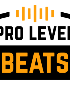 Pro level beats - By Simon Servida