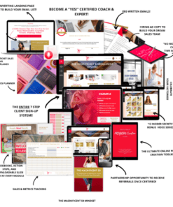 Maggie Chu – The High-Ticket Enrollment System