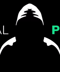 David Bond Digital Pickup 2.0