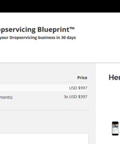 Dylan Sigley – Drop Servicing Blueprint