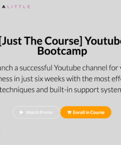 Trena Little – Youtube Bootcamp