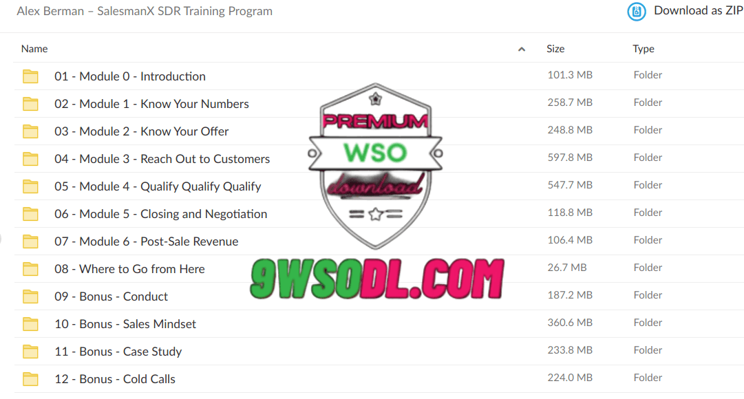 Alex-Berman-–-SalesManX-–-SDR-Training-Program-proof