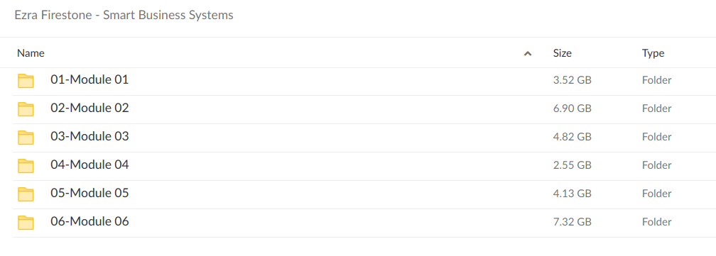 Ezra Firestone – Smart Business Systems