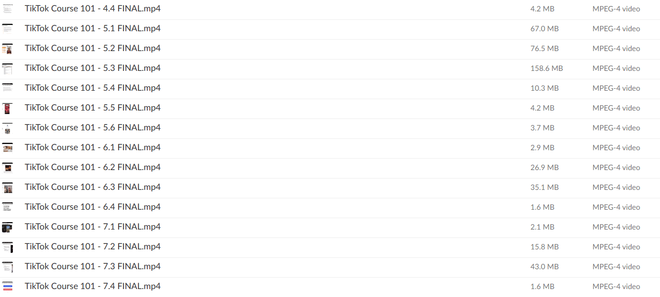 Anthony McGuire – TikTok Marketing & Advertising 101 - Download 2