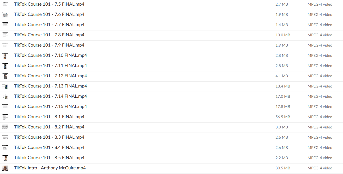 Anthony McGuire – TikTok Marketing & Advertising 101 - Download 3