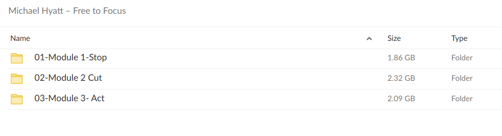 Michael Hyatt – Free to Focus