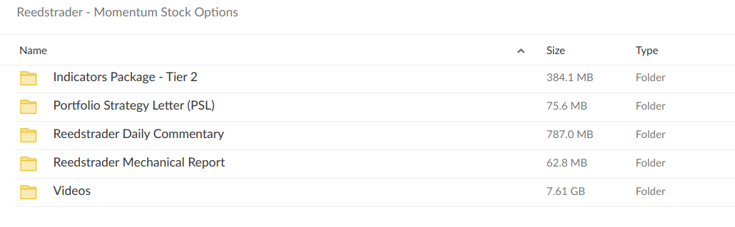 Reedstrader – Momentum Stock Options Workshop