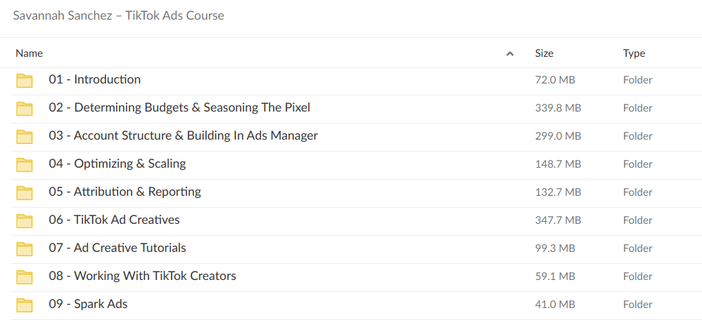 Savannah Sanchez – TikTok Ads Course Download