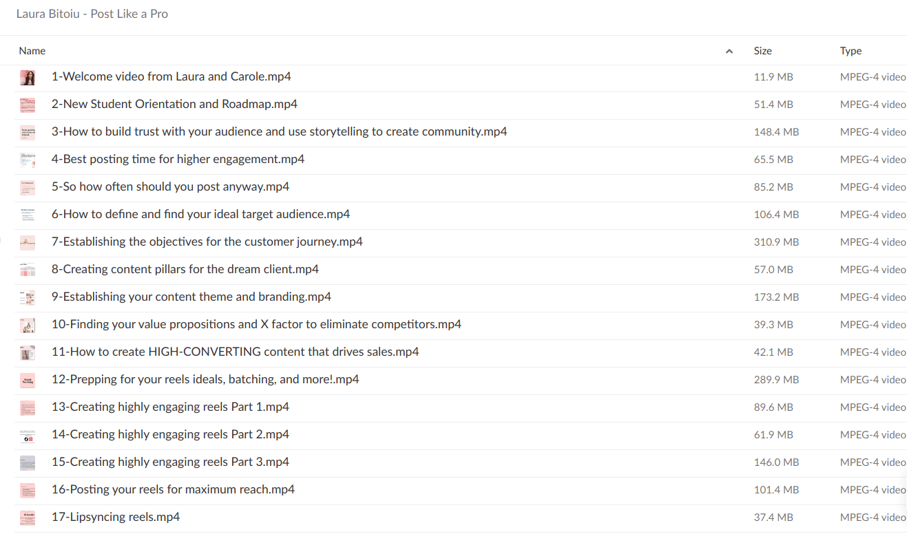 Laura Bitoiu – Post Like a Pro