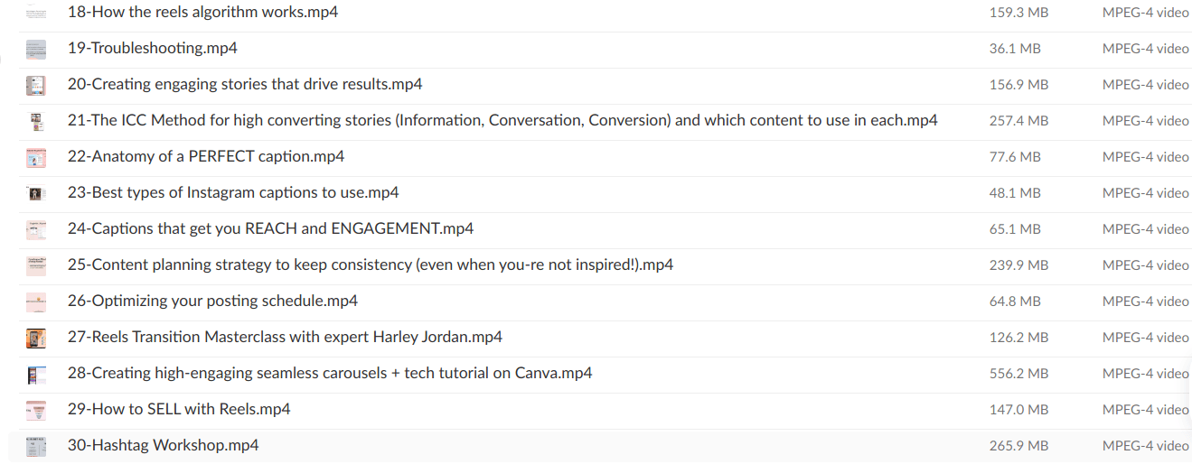 Laura Bitoiu – Post Like a Pro