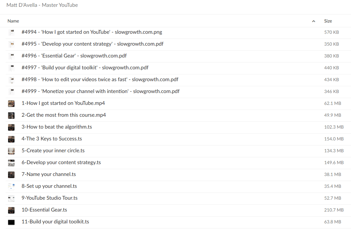 Matt D'Avella - Master YouTube