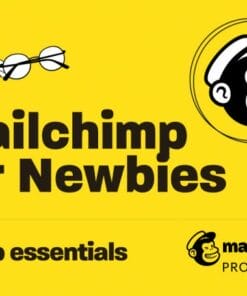 Mailchimp for Newbies by Chimp Essentials