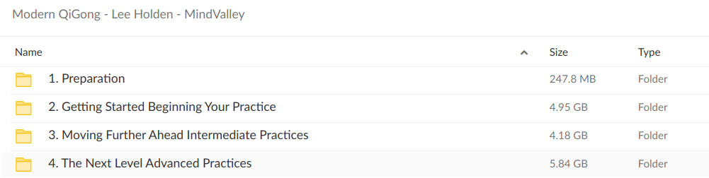 Modern QiGong – Lee Holden – MindValley