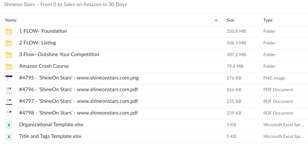 Shineon Stars – From 0 to Sales on Amazon In 30 Days