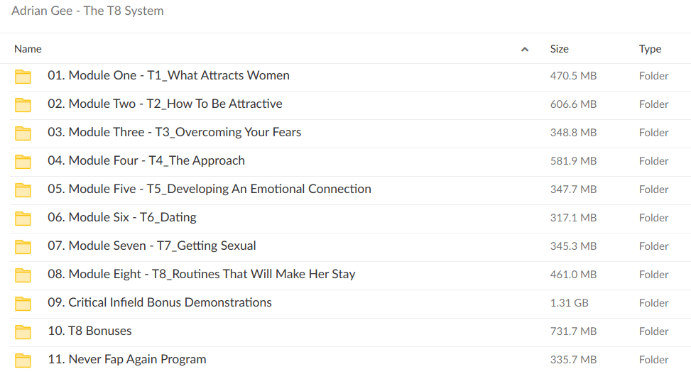 Adrian Gee - The T8 System