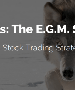 Lone Stock Trader Master Class The E.G.M. Stock Trading Strategy