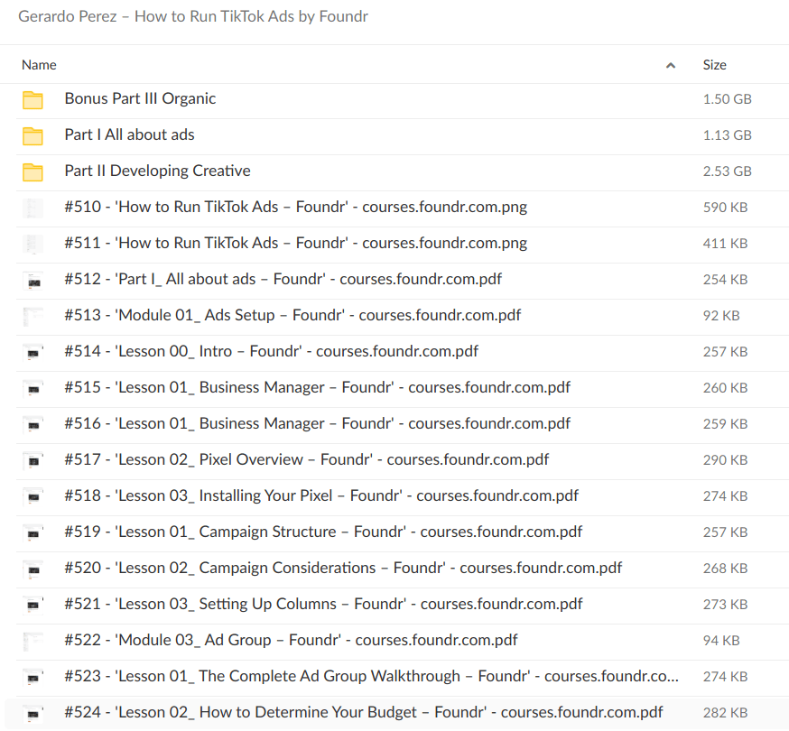 Gerardo Perez – How to Run TikTok Ads by Foundr