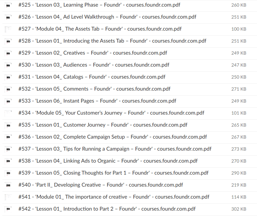 Gerardo Perez – How to Run TikTok Ads by Foundr