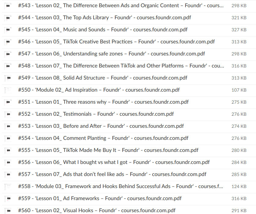 Gerardo Perez – How to Run TikTok Ads by Foundr