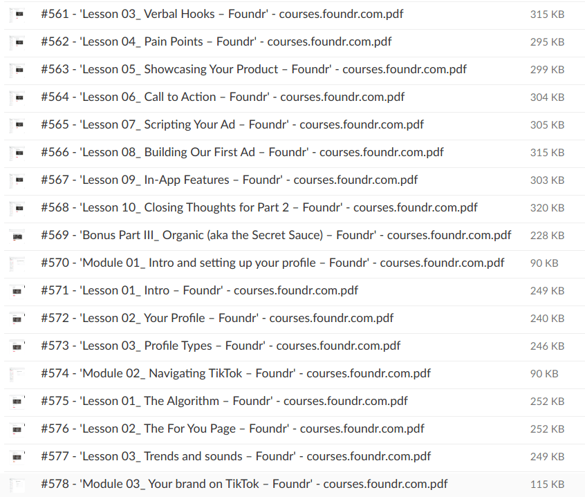 Gerardo Perez – How to Run TikTok Ads by Foundr