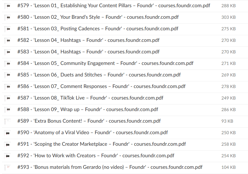 Gerardo Perez – How to Run TikTok Ads by Foundr