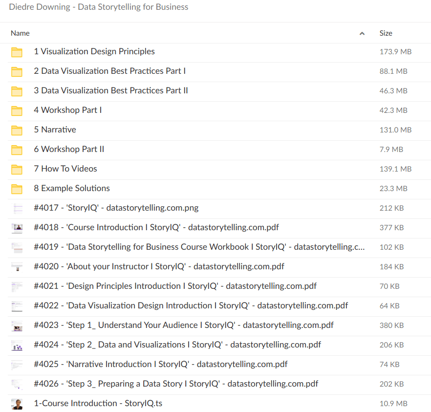 Diedre Downing – Data Storytelling for Business