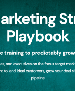 Zinkevich & Blagojevic – B2B Marketing Strategy Playbook - feature