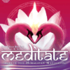 Meditate with the Himalayan Masters - Paul R. Scheele