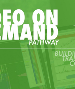 Trade With Profile – Video On Demand Pathway | Forex, Commodities and Stocks Trading Courses