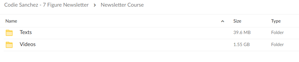 Codie Sanchez – 7 Figure Newsletter - download