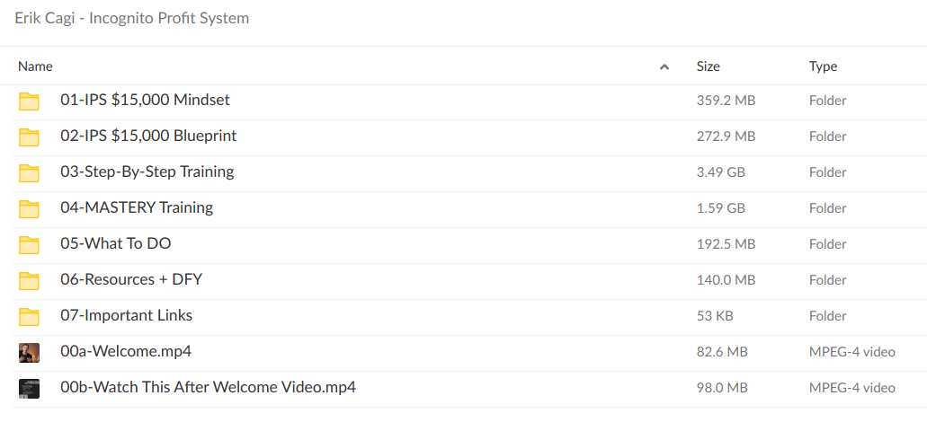 Erik Cagi – Incognito Profit System - download