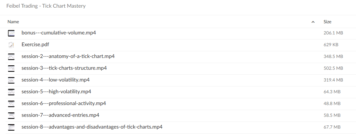 Feibel Trading – Tick Chart Mastery download