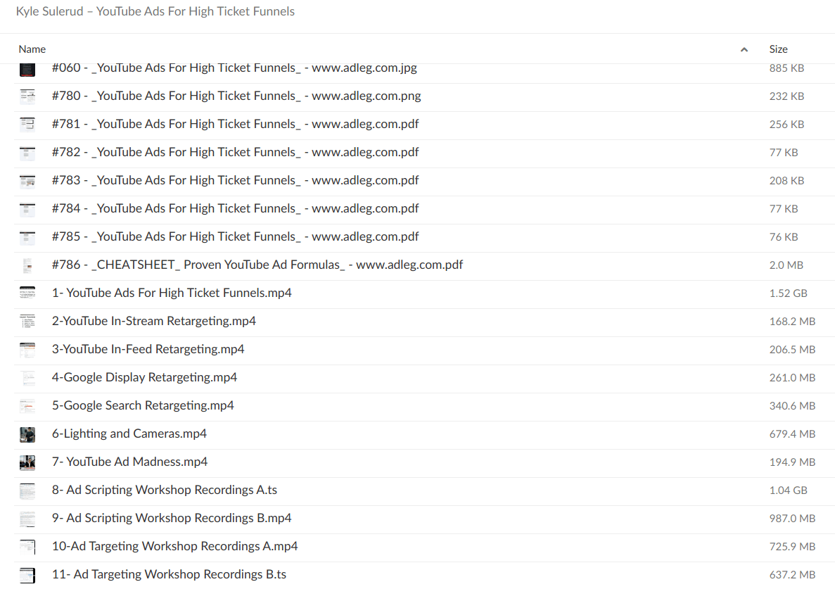 Kyle Sulerud – YouTube Ads For High Ticket Funnels - download