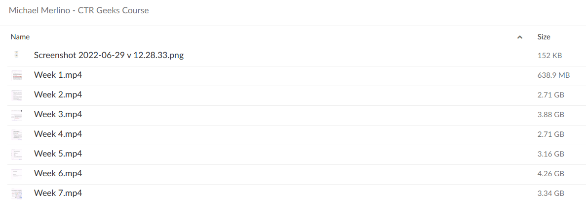 Michael Merlino – CTR Geeks Course - download