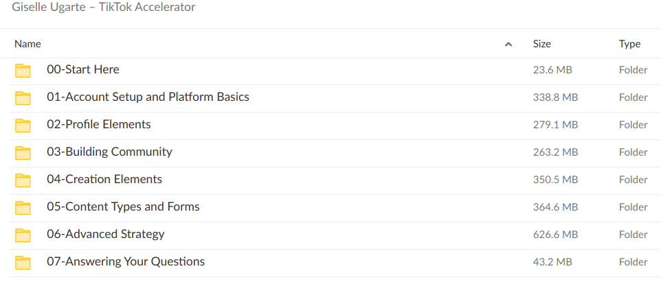 Giselle Ugarte – TikTok Accelerator
