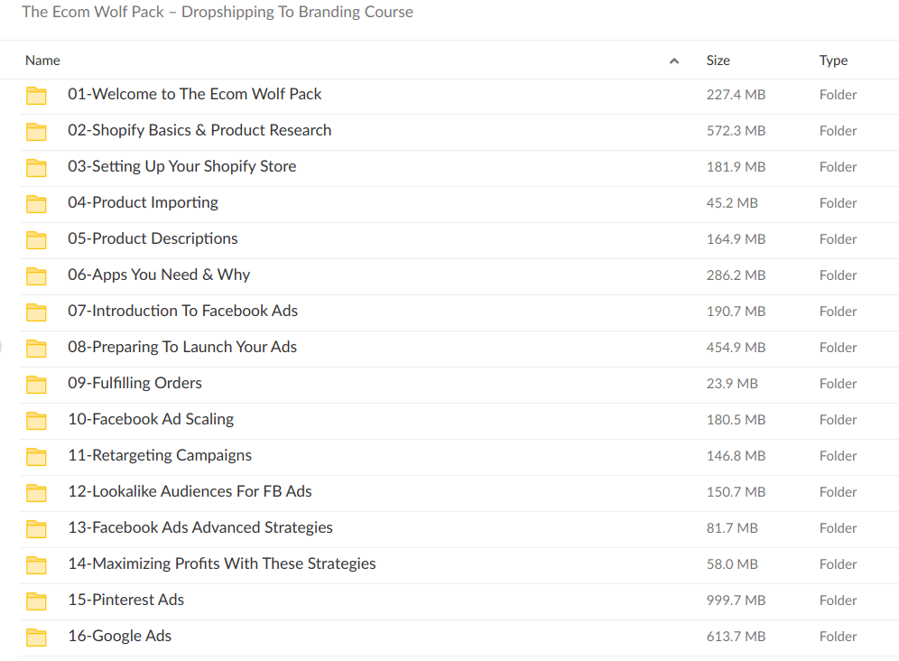 The Ecom Wolf Pack – Dropshipping To Branding Course - download