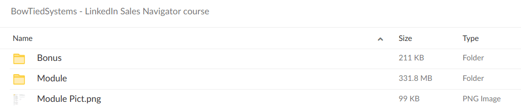 BowTiedSystems LinkedIn Sales Navigator Course - download