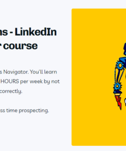 BowTiedSystems LinkedIn Sales Navigator Course - feature