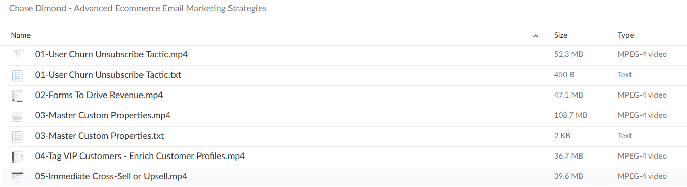 Chase Dimond Advanced Ecommerce Email Marketing Strategies - download