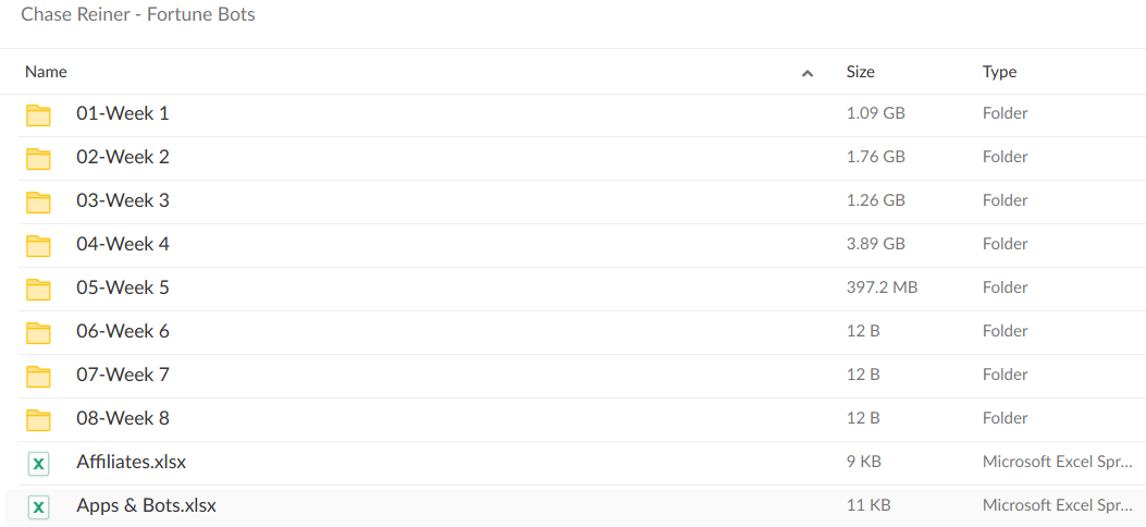 Chase Reiner Fortune Bots - download