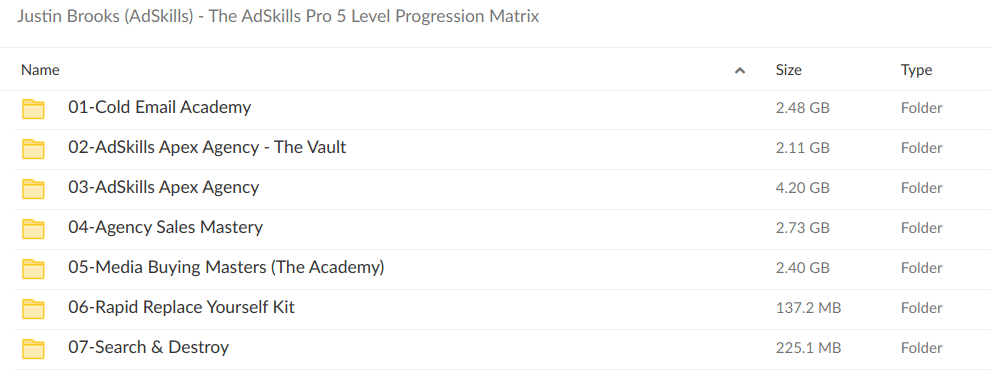 Justin Brooks AdSkills The AdSkills Pro 5 Level Progression Matrix - download